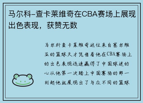 马尔科-查卡莱维奇在CBA赛场上展现出色表现，获赞无数